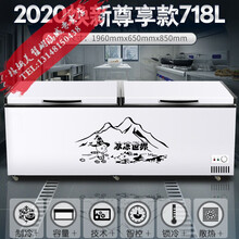 卧式冰柜850升商用大容量家用600L冷藏冷冻保鲜双温展示柜 718双温尊享款