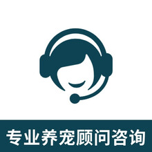 小囧 猫笼子猫别墅家用室内猫屋实木柜子架子猫窝猫笼超大空间宠物房舍四季通用 专属客服顾问 送货入户+自行安装