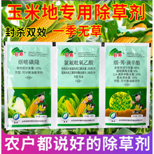 玉米苗后除草剂安全型3连袋杀草封地一季无草烟嘧磺隆杂草一扫光 55ml