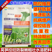莴苣莴笋多控嫩粗壮控莴笋出苔叶芽防裂延长鲜嫩期叶面肥水溶肥料 控旺30克/袋（10袋包邮）