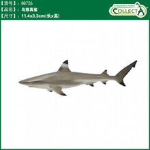 英国CollectA我你他仿真海洋动物模型玩具鲨鱼鲸鱼南北极认知合集 88726乌翅真鲨