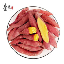 新鲜现挖临安天目山小香薯 金手指小香薯 沙地瓜番薯红薯 10斤