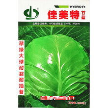 佳美特甘蓝种子翠绿大球耐裂耐抽苔农家春秋播种精选包菜种 佳美特原装2000粒