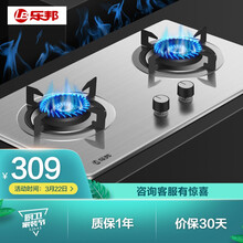 乐邦（LB）JZY-EG01 燃气灶 嵌入式台式两用灶具家用双灶 不锈钢面板 大火力（液化气）
