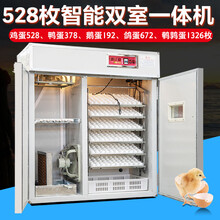 小鸡孵化箱工业孵化器双室孵蛋机智能孵蛋器全自动家用小型孵化机 528枚三温三控一体机（双室）