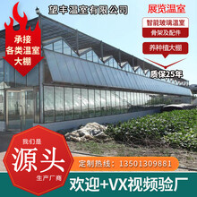鲸榜展览温室养殖种植花卉蔬菜钢管热镀锌骨架智能玻璃连体栋育苗科研日光PC阳光板双薄膜春秋大棚配件设备 生态餐厅温室