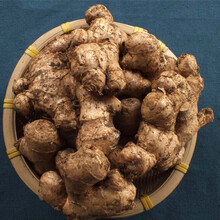 鲜生姜四川新鲜小黄姜土姜食用老姜 1000g