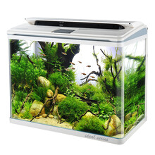 鱼之宝（Fish treasure）鱼缸 水族箱 智能数显金鱼缸 带灯 过滤器 高清玻璃 P8白色