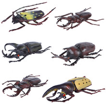 甲虫模型 仿真甲虫玩具动物模型昆虫天牛锹甲锹形虫兜虫独角仙儿童认知礼物 6款甲虫  | 大号 | 特惠套装