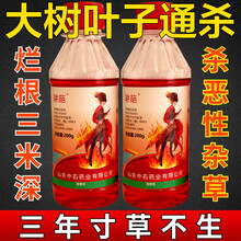 草甘膦除草剂除树一扫光杂草烂根连根死果园树百草灭草剂枯死农药 1000ml