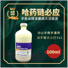 坤昱兽药  哈药羊疫苗 链必应 羊败血性链球菌病灭活疫苗 预防山羊绵羊链球菌病病兽用 100ml 1瓶100ml