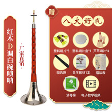 京炫（JINGXUAN)唢呐乐器初学者唢呐全套配件D调哨片芯子铜碗乌木红木檀 红木D调白碗(8大超值礼品)