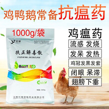 鸡药大全鸡鸭鹅鸡瘟预防药鸡病扶正解毒散重症兽用鸡温药清瘟鸡用 10袋（实发11袋）