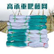 豆角网架植物爬藤网攀爬瓜网山药豆角豇豆黄瓜苦瓜丝瓜吊瓜百香果种植网 嘉瑰 2*200米细6股孔25豆角网