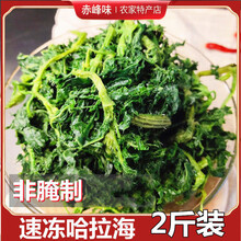 野生哈拉海速冻山野菜内蒙古赤峰克旗野菜干东北哈拉海饭店用 腌制哈拉海240克*5袋 1000g
