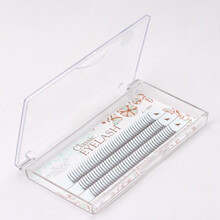 A型W朵毛m嫁接网红自然单簇分段广州大眼魅假睫毛抖音仙子毛仙女 13MM 爱芮丝慕A型