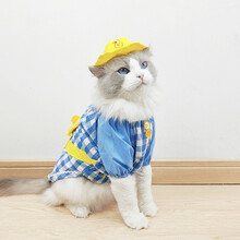 幼稚园猫衣服春夏季薄款布偶防掉毛宠物变装可爱猫咪服饰 软萌小黄鸭套装(附带小帽子) L号(适合8~10斤)