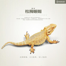 2021新款仿真昆虫模型 儿童玩具动物 蝴蝶蜜蜂蝎子蚱蜢螳螂蜻蜓蜘蛛蜥蜴 松狮蜥蜴