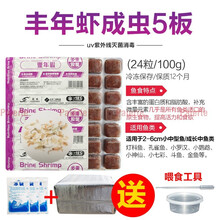 冷冻红虫冰冻血线虫牛心汉堡丰年虾干鹦鹉罗汉七彩神仙龙鱼食饲料 5板丰年虾成虫