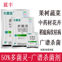 蓝丰 多菌灵多肉花卉药月季兰花盆栽花药叶斑病多菌菌灵通用杀菌剂植物 80克*10袋