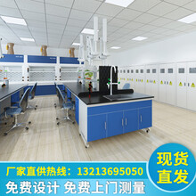 弗莱仕 钢木实验台中央工作台边台实验室操作台通风橱全木试验台可定制 钢木边台/米.
