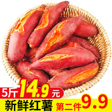 【平价菜场】红薯地瓜糖心番薯蜜薯 新鲜蔬菜番薯 5斤优选小果(带箱)