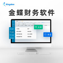 金蝶软件云财务软件会计记账做账代账软件金蝶kis标准版迷你版小企业财务系统管理erp软件 20账套 9用户1年