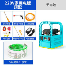 手提式电动喷雾器农用果树打药机双泵充电多功能高压抽水喷雾洗车 220v家用（不含电池）+50米高压管