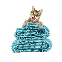 憨憨乐园 宠物毛巾狗狗浴巾猫吸水毛巾洗澡擦干毛巾猫咪泰迪金毛洗澡用品小号50X33cm蓝色