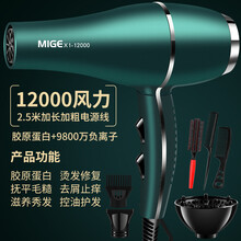 德国进口吹风机家用速干理发店专用大功率3000W负离子护发宿舍静 翡翠绿进口12000大风送六 发廊家用造型版