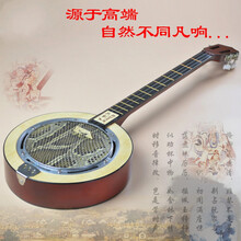 【保价30天】伊薇 三弦秦琴乐器蟒蛇皮圆形秦琴广东民族弹拨乐器老人乐器 中档款全音