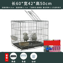 白鸽笼鸽子笼养殖笼定制鸽子笼养殖笼家用大号特大繁殖配对大型不锈钢色鸟笼定制(80寸及以上有隔断） 粗60*43*50粪盘+食盒+砂杯
