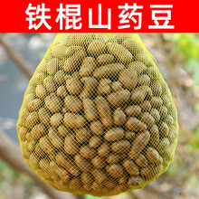 铁棍山药豆新鲜5斤大号特大河南焦作农家怀淮山药蛋糖葫芦果整箱 5斤精选