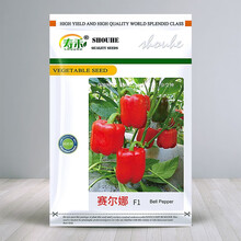 寿禾 彩椒种子灯笼椒青椒红黄紫白菜椒甜椒苗辣椒苗方椒冬季春季播种蔬菜苗种苗寿光菜种籽菜籽 赛尔娜红甜椒种子 100粒原装
