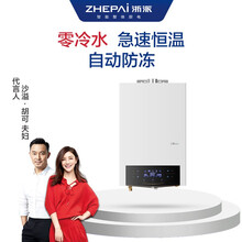 浙派（ZHEPΛi）13A燃气热水器 水气双调急速恒温 零秒热水 断电记忆 多重安全防护13升 液化气