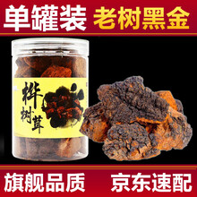 桦树茸白桦茸桦褐孔菌片长白山桦树泪可配搭黑金颗粒桑黄代用茶泡水灵芝茶粉可配搭同仁堂药材枸杞泡茶泡酒 125g*1罐 地道产地真品保障可配搭黑精粉胶囊浓缩液