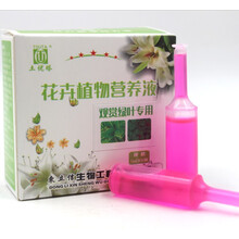 观赏绿叶绿萝铁线蕨室内盆栽植物通用型微量元素水溶肥专用营养液 4盒31元