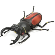 仿真昆虫模型动物玩具蜘蛛蚂蚁蝉七星瓢虫蜈蚣蚂蚱大兜虫阳彩臂金龟 橘背楸甲