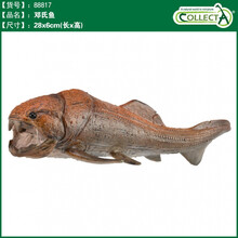 英国CollectA我你他史前古兽海洋野生动物模型玩具儿童认知合集 88817邓氏鱼