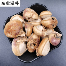 杞里香 中须元果 耶野生香豆隐孔菌树荷包 松橄榄 500g