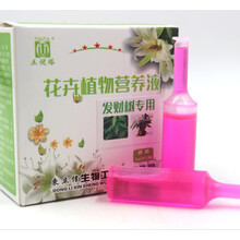 马拉巴栗发财树瓜栗营养液盆栽液体肥通用型植物花肥微量元素肥 6盒40元