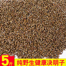 决明子玩具沙池塑料沙雪花沙彩石沙子宝宝家用儿童乐园游乐场专用 5斤决明子沙