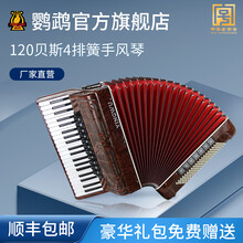 鹦鹉手风琴 YW852 41键120BS四排簧 回声琴 成人专业考级演奏琴乐器 木纹色（需预订）