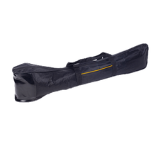 曲漾 二胡板胡包 加厚二胡套可提可背乐器二胡板胡袋软包民乐 普通款二胡包