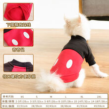 狗狗衣服春秋装夏季薄款春咪泰迪比熊博美小型犬幼犬小狗宠物 奇奇鼠冬款 S
