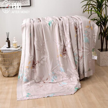 钱后 夏被 40冰丝镂空夏凉被夏季空调被薄款可水洗冰丝薄被子 江枫序 200X230cm 单夏被