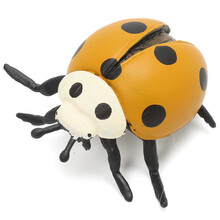 仿真昆虫模型动物玩具蝴蝶蜜蜂蜘蛛蚱蜢螳螂七星瓢虫蜻蜓蟋蟀 七星瓢虫（黄色）