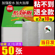 粘蝇纸苍蝇贴强力粘蝇板神器杀手灭蝇子蚊子克星捕捉器家用一扫光