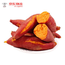 山东红心流油蜜薯25号5斤9斤糖心新鲜番薯密农家沙地烟薯 5斤精选大果