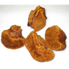 华卫健康 精品桑黄 止血 化饮 止泻  抓药 抓中药  按方抓药 中药饮片1g